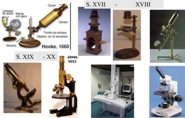 En que año se invento el microscopio y quién fue su creador